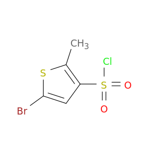 5-溴-2-甲基噻吩-3-磺酰氯