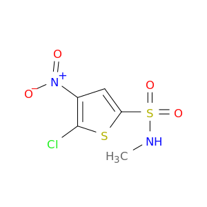 2-Thiophenesulfonamide, 5-chloro-N-methyl-4-nitro-