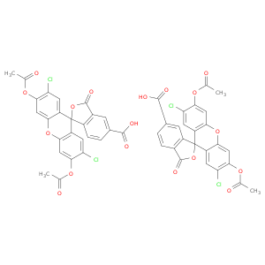 5(6)-羧基-2',7'-二氯荧光素二乙酸酯
