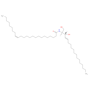 N-NERVONOYL-D-ERYTHRO-SPHINGOSINE;C24:1 CERAMIDE (D18:1/24:1(15Z))