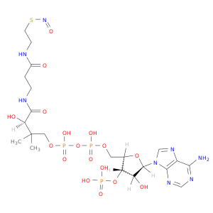 S-NITROSO-COENZYME A