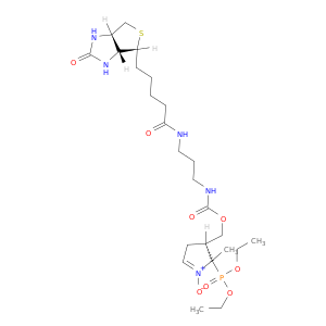 DEPMPO-biotin