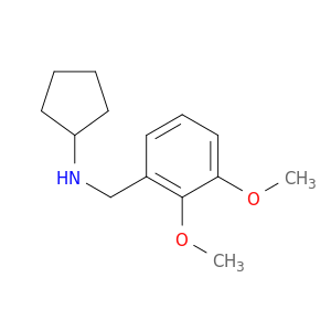N-(2,3-DIMETHOXYBENZYL)CYCLOPENTANAMINE