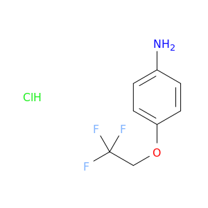 4-(三氟乙氧基)苯胺盐酸盐