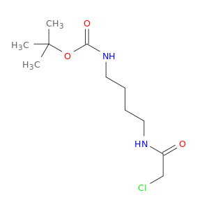 N-[4-(2-氯乙酰氨基)丁基]氨基甲酸叔丁酯