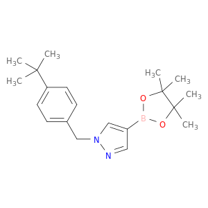 1-(叔丁基苄基)吡唑-4-硼酸频那醇酯