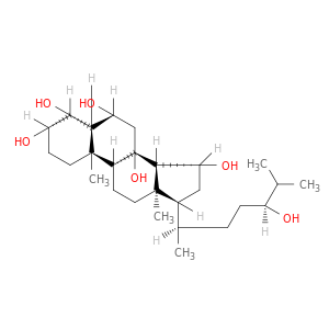 Cholestane-3,4,6,8,15,24-hexol, (3b,4b,5a,6b,15b,24S)-