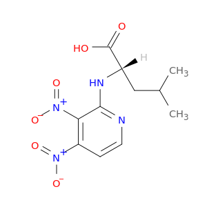 L-Leucine, N-(dinitropyridinyl)-