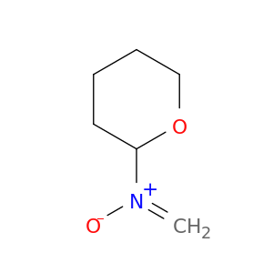 2H-Pyran-2-amine, tetrahydro-N-methylene-, N-oxide