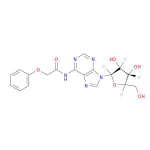 N-(9-((2R,3R,4S,5R)-3,4-二羟基-5-(羟甲基)四氢呋喃-2-基)-9H-嘌呤-6-基)-2-苯氧基乙酰胺