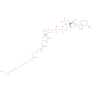 Coenzyme A,S-(2-oxopentadecyl)-