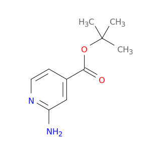 2-氨基异烟酸叔丁酯
