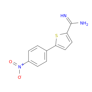 2-Thiophenecarboximidamide, 5-(4-nitrophenyl)-