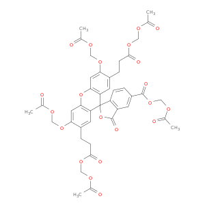 2',7'-二-(2-羧乙基)-5(6)-羧基荧光素乙酰甲酯
