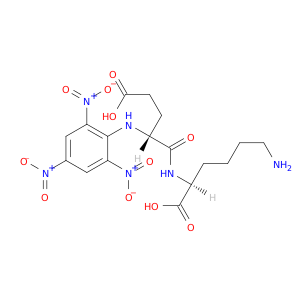 L-Lysine,N2-[N-(2,4,6-trinitrophenyl)-D-a-glutamyl]- (9CI)