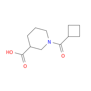1-(环丁基羰基)哌啶-3-羧酸