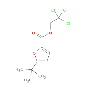2,2,2-trichloroethyl 5-tert-butyl-2-furoate