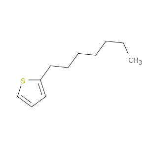 2-鞘翅目