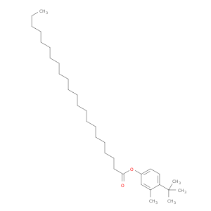 Docosanoic acid, 4-(1,1-dimethylethyl)-3-methylphenyl ester