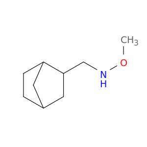 {bicyclo[2.2.1]heptan-2-ylmethyl}(methoxy)amine