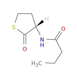 N-butyryl-L-Homocysteine thiolactone
