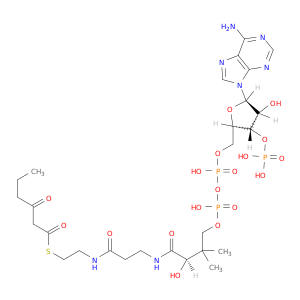 辅酶A,S-(3-氧己酸酯)