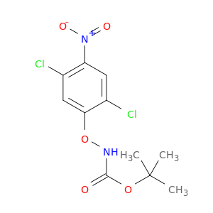 Carbamic acid, (2,5-dichloro-4-nitrophenoxy)-, 1,1-dimethylethyl ester
