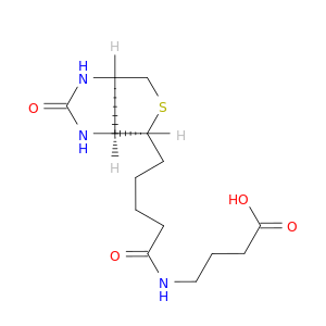 4-(5-((3aS,4S,6aR)-2-氧代六氢-1H-噻吩并[3,4-d]咪唑-4-基)戊酰胺基)丁酸