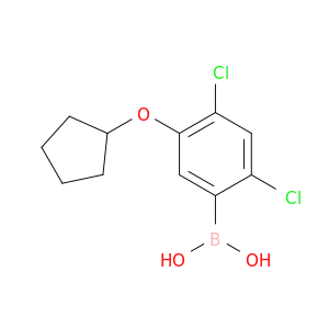 24-二氯-5-(环戊基氧基)苯硼酸