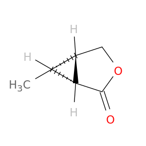 3-Oxabicyclo[3.1.0]hexan-2-one, 6-methyl-, (1R,5S,6R)-