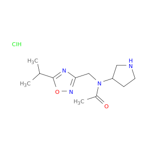 N-{[5-(propan-2-yl)-1,2,4-oxadiazol-3-yl]methyl}-N-(pyrrolidin-3-yl)acetamide hydrochloride