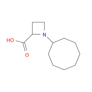 1-环辛基-2-氮丁啶羧酸