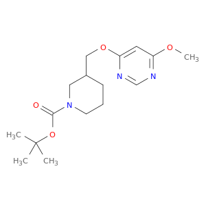3-(6-甲氧基-嘧啶-4-基氧基甲基)-哌啶-1-羧酸叔丁基酯