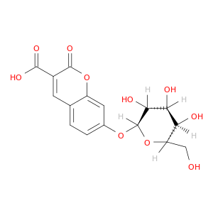 CUG Β半乳糖苷酶检测 荧光蓝