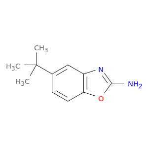 5-tert-butyl-1,3-benzoxazol-2-amine