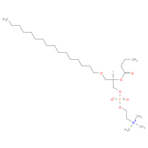 1-O-HEXADECYL-2-BUTYRYL-SN-GLYCERO-3-PHOSPHOCHOLINE;C16-04:0 PC