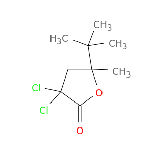 2(3H)-Furanone, 3,3-dichloro-5-(1,1-dimethylethyl)dihydro-5-methyl-