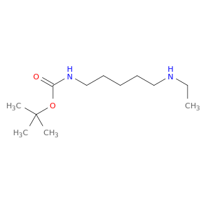 1,1-二甲基乙基N-[5-(乙基氨基)戊基]氨基甲酸酯