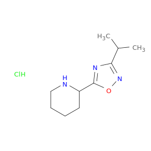 2-(3-Isopropyl-1,2,4-oxadiazol-5-yl)piperidine Hydrochloride