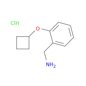 苯甲酰胺,2-(环丁氧基)-,盐酸盐(1：1)