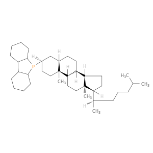 5H-Benzo[b]phosphindole, 5-[(3a,5a)-cholestan-3-yl]-