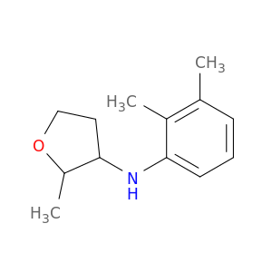 N-(2,3-dimethylphenyl)-2-methyloxolan-3-amine
