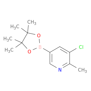 3-氯-2-甲基-5-(4,4,5,5-四甲基-1,3,2-二氧硼杂环戊烷-2-基)吡啶