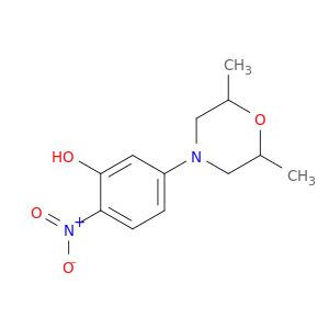 5-(2,6-二甲基吗琳)-2-硝基苯