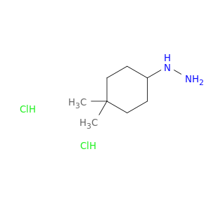 (4,4-Dimethylcyclohexyl)hydrazine dihydrochloride
