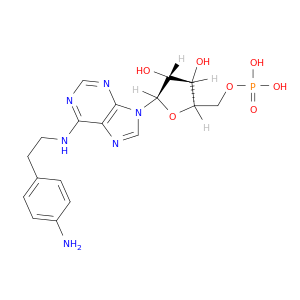 5'-Adenylic acid, N-[2-(4-aminophenyl)ethyl]-