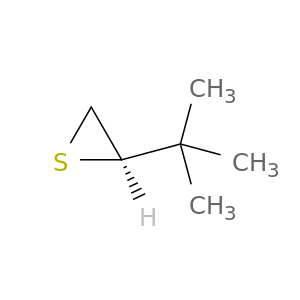 Thiirane, (1,1-dimethylethyl)-, (R)-