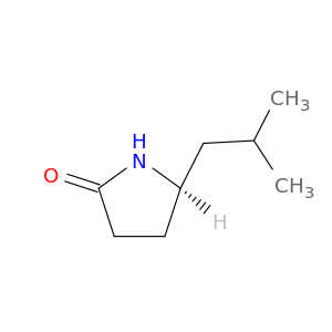 (5R)-5-异丁基-2-吡咯烷酮