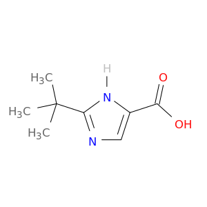 2-(叔丁基)-1H-咪唑-5-羧酸