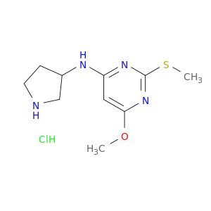 (6-甲氧基-2-甲基硫基-嘧啶-4-基)-吡咯烷-3-基-胺盐酸盐